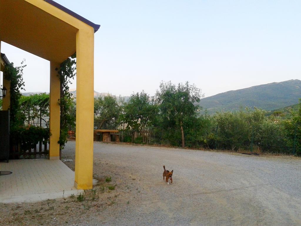 Villaggio Dei Balocchi Castelbuono  Bagian luar foto