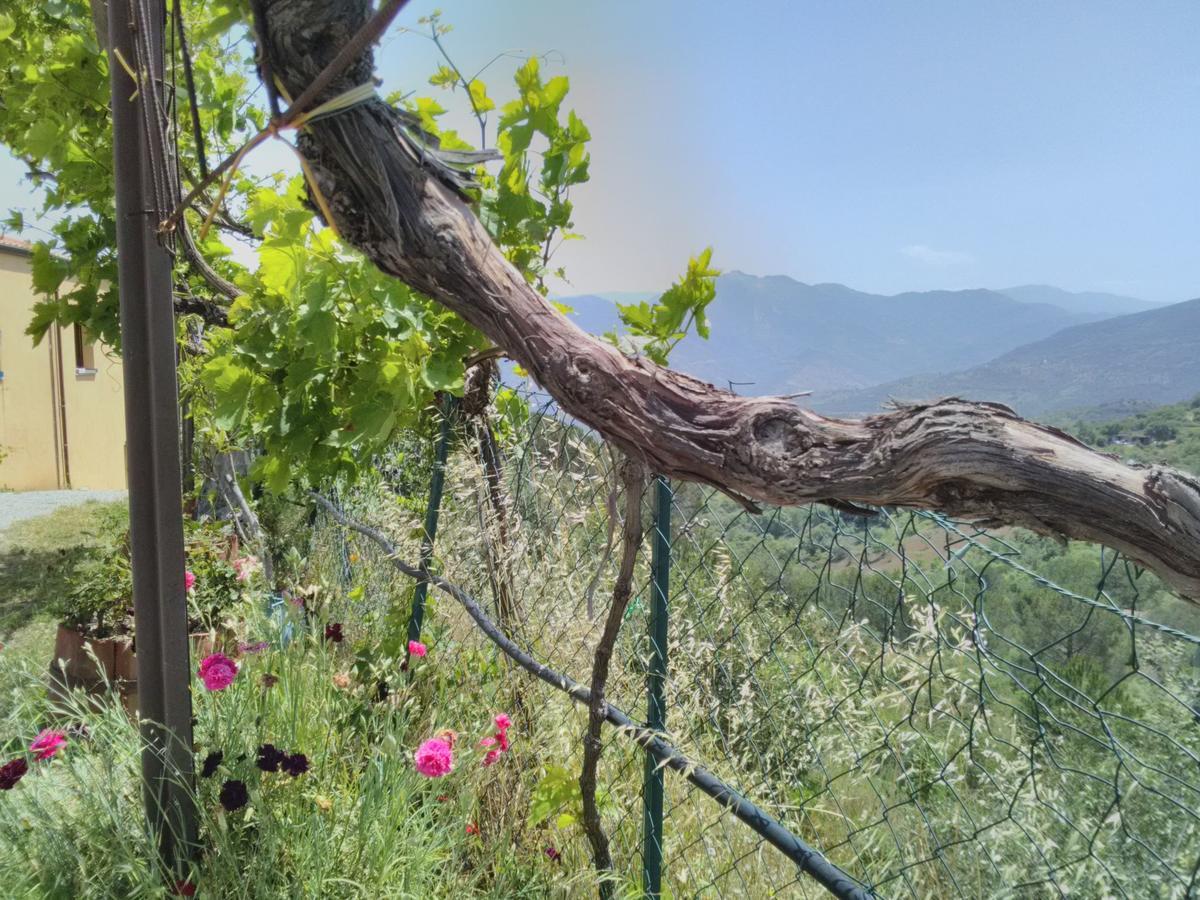Villaggio Dei Balocchi Castelbuono  Bagian luar foto